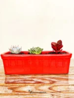 Set-Mini Fioriera-Rosso