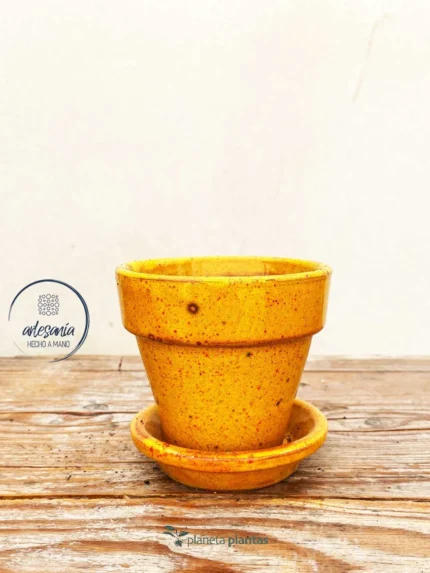 Vaso Di Fiori Con Piatto Giallo