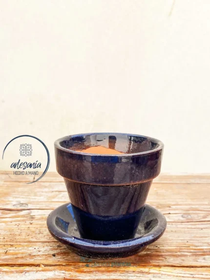 Vaso Di Fiori Con Piatto Blu