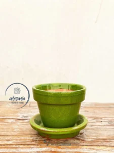Vaso Di Fiori Con Piatto Verde