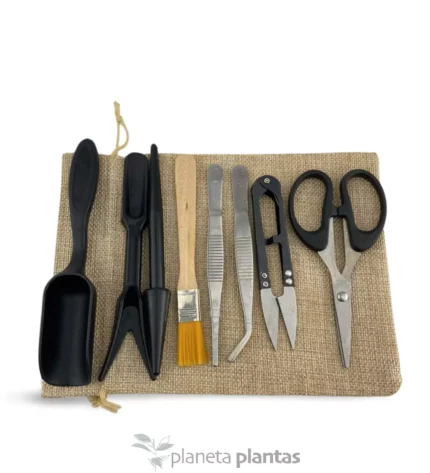 Kit di strumenti per il trapianto e la cura