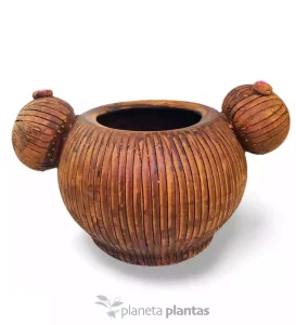 Vaso per cactus 15x27