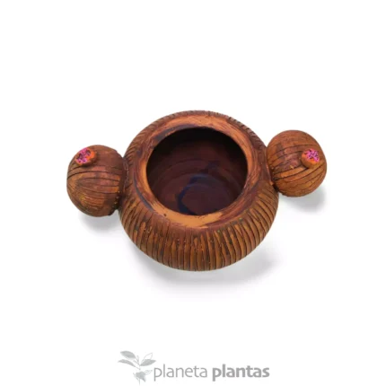 Vaso per cactus 15x27 — foto principale