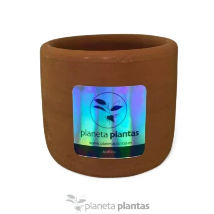 vaso in terracotta fatto a mano 10x10