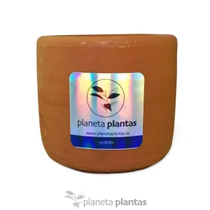 vaso in terracotta fatto a mano 10x10 — foto principale